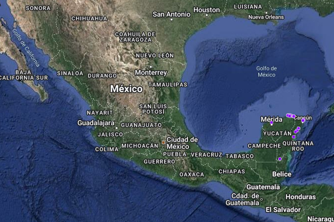 1MAPA_plantas_0001_Capa 15