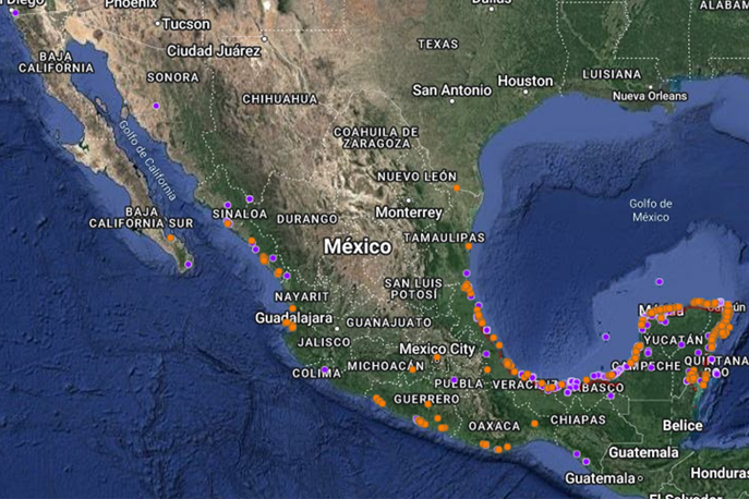 1MAPA_plantas_0002_Capa 14