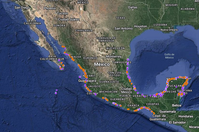 1MAPA_plantas_0012_Capa 4