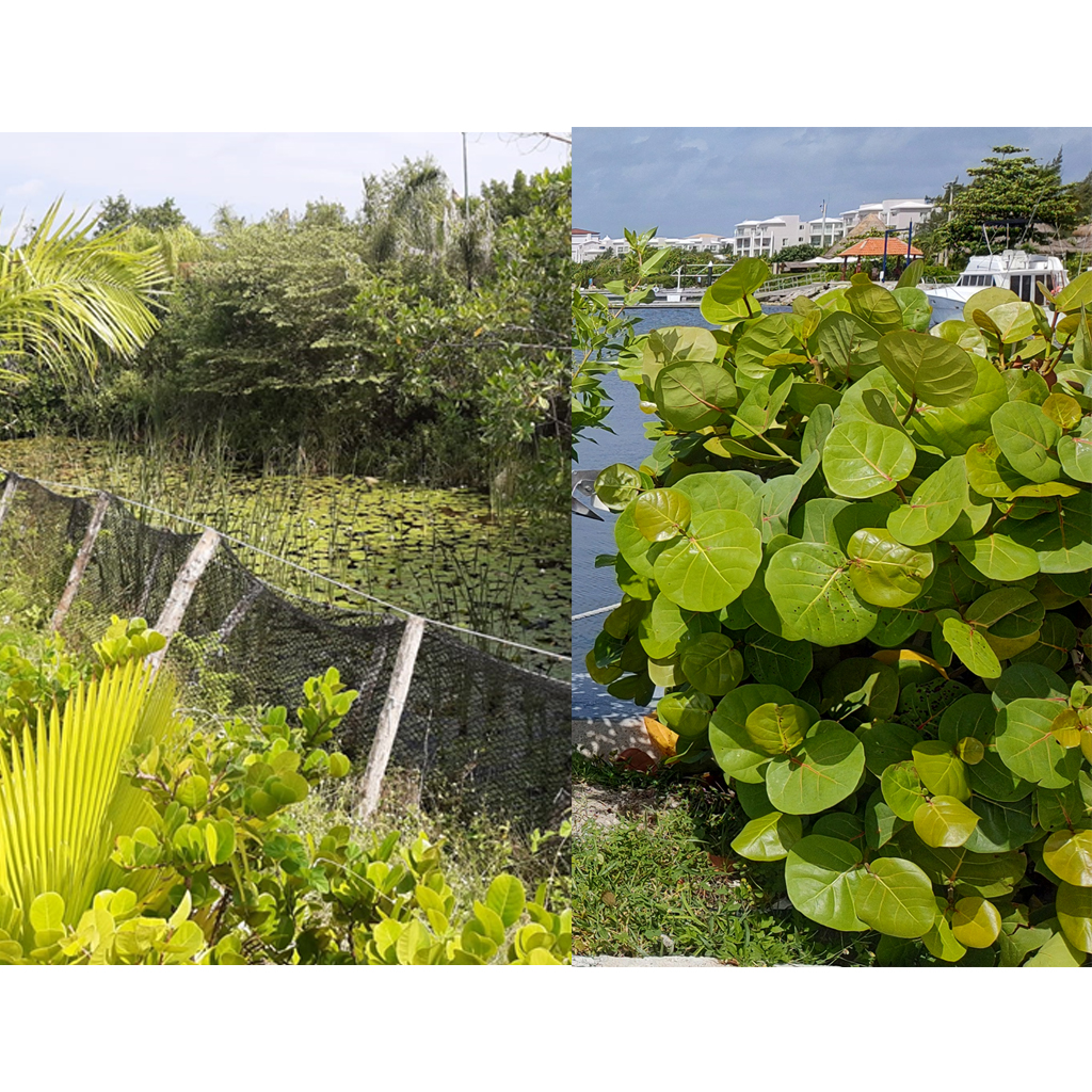 PLANTAS_0000s_0002_Capa 14