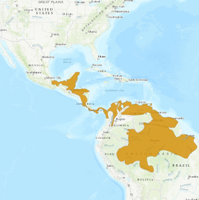 AGO_MAPA