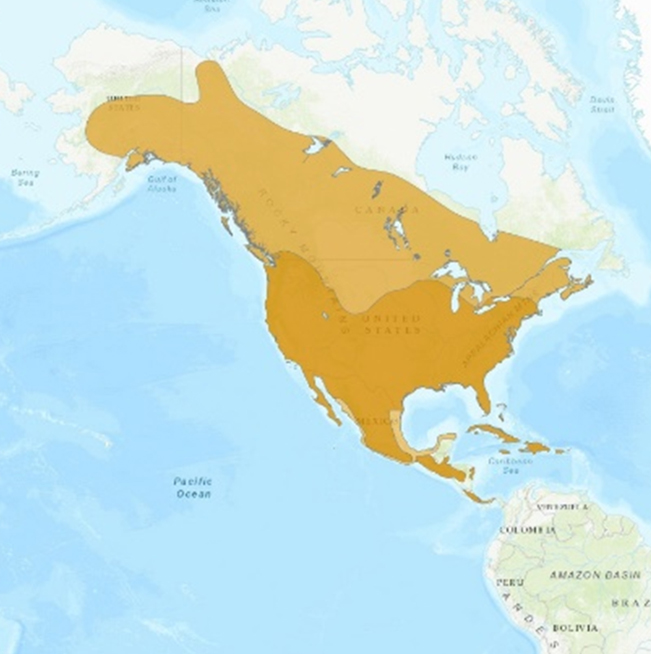 DIC_MAPA