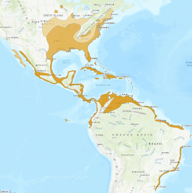 ENE_MAPA