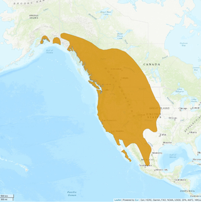 FEB_MAPA
