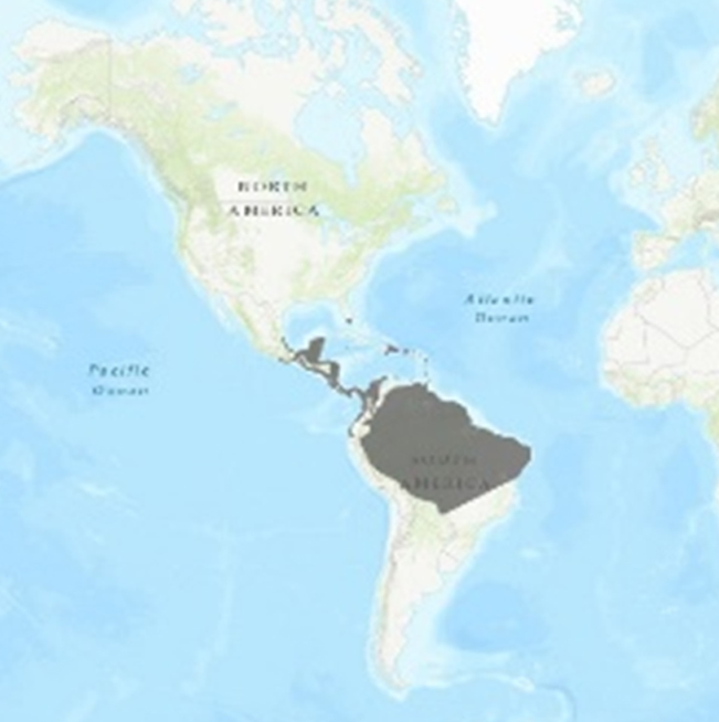 MAR_MAPA