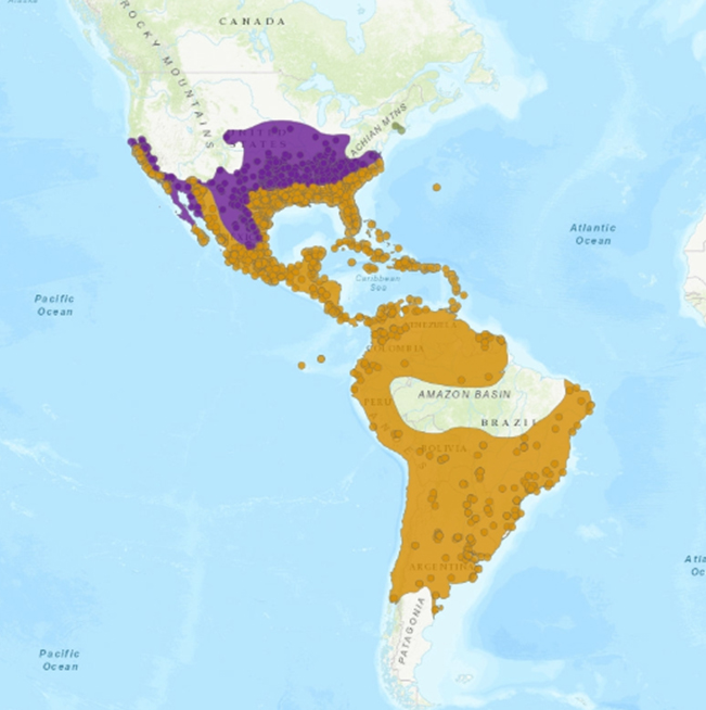 MAY_MAPA