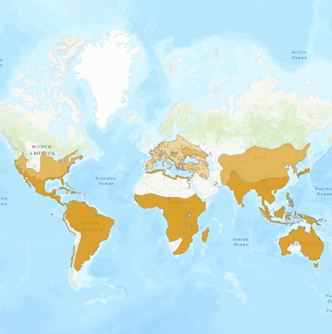 NOV_MAPA