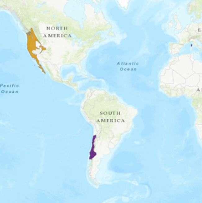 SEP_MAPA