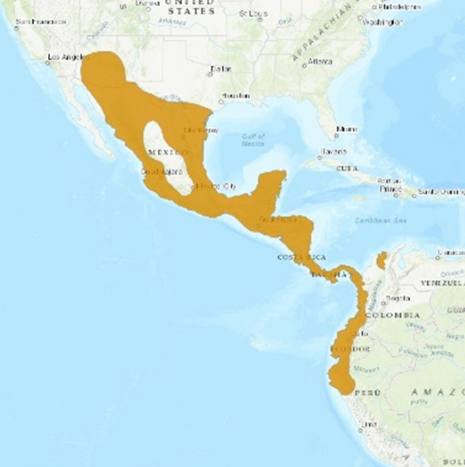 jul_MAPA